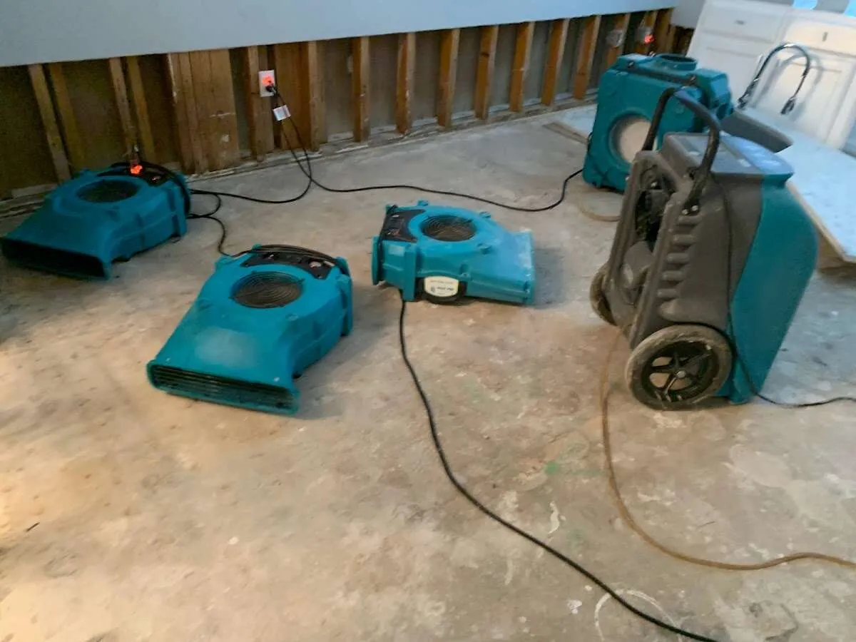 Water Damage Restoration services in Carrollton, TX